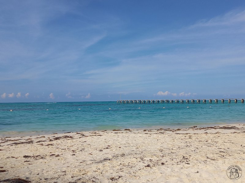 Bienvenido a Cancun !