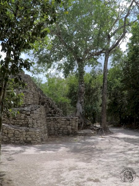 Le site archéologique de Coba