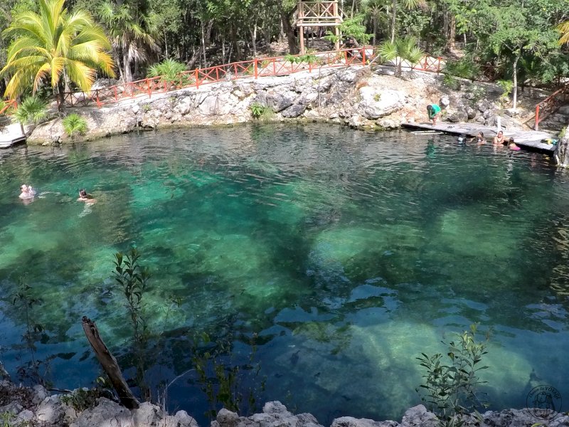 Premières plongées dans les cenotes