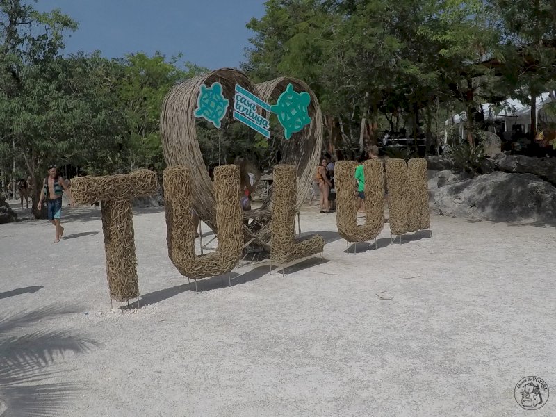 Premières plongées dans les cenotes