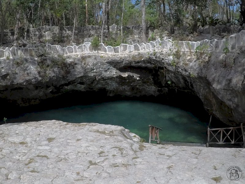 Premières plongées dans les cenotes