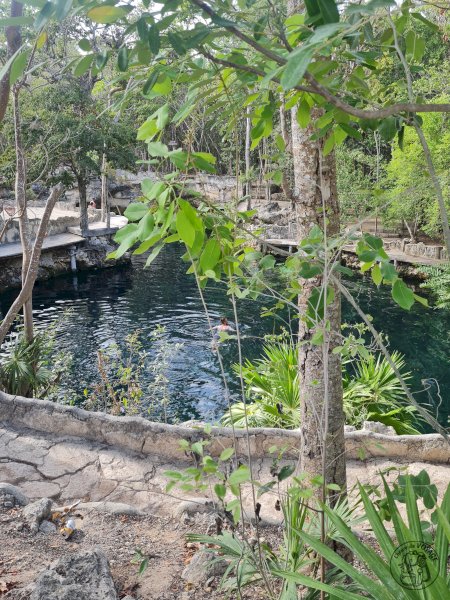 Premières plongées dans les cenotes