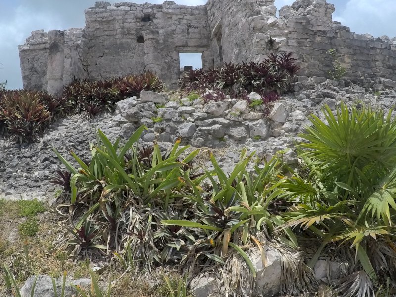 Les ruines de Tulum