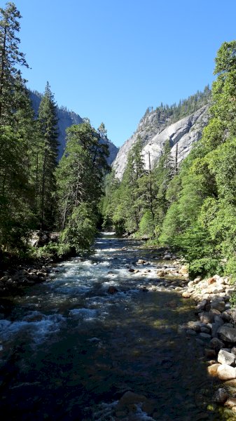 Yosemite National Park