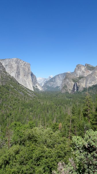 Yosemite suite