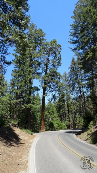 Sequoia National Park