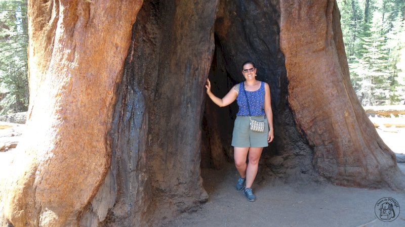 Sequoia National Park