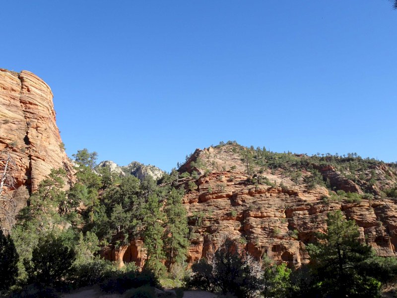 Zion National Park