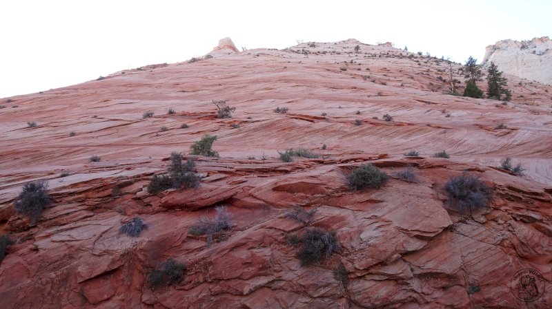 Zion National Park