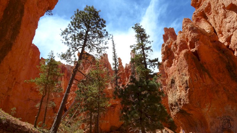 Bryce Canyon