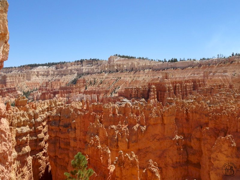 Bryce Canyon Suite