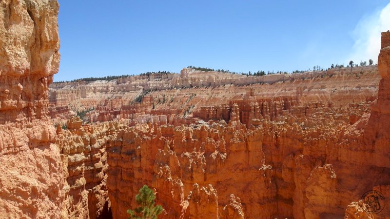 Bryce Canyon Suite