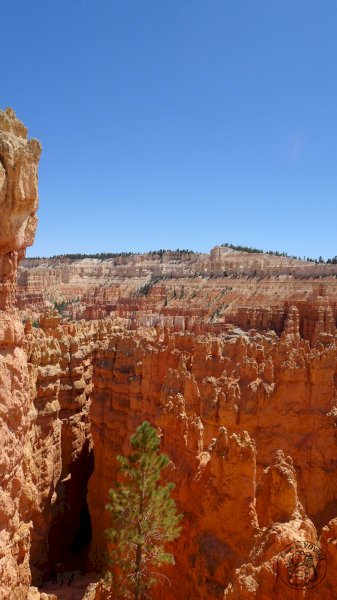 Bryce Canyon Suite