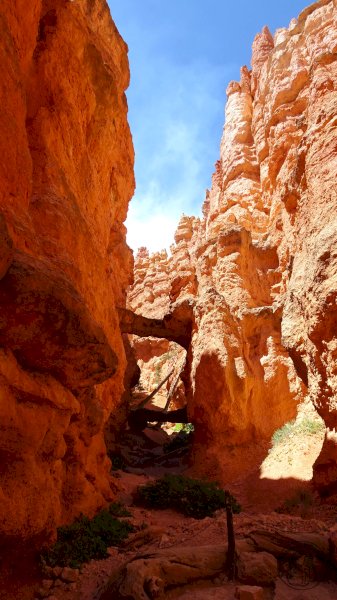 Bryce Canyon Suite