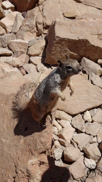 Grand Canyon National Park