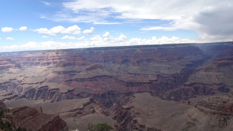 Grand Canyon National Park Suite