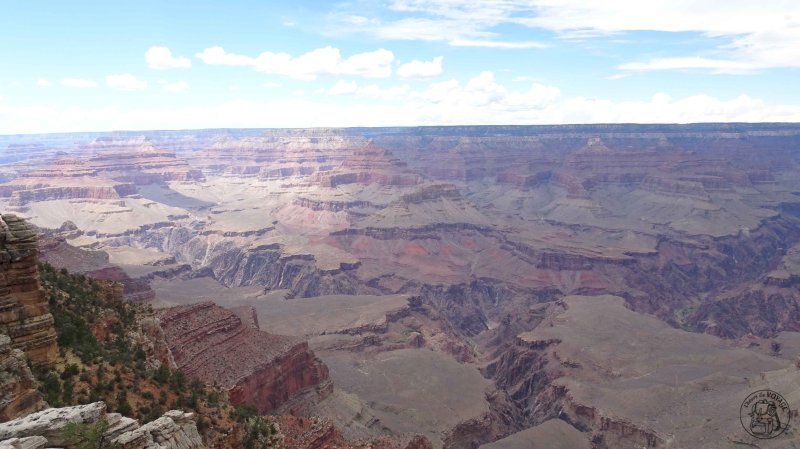 Grand Canyon National Park Suite