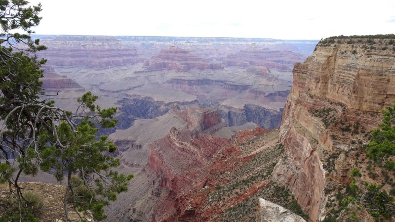 Grand Canyon National Park Suite