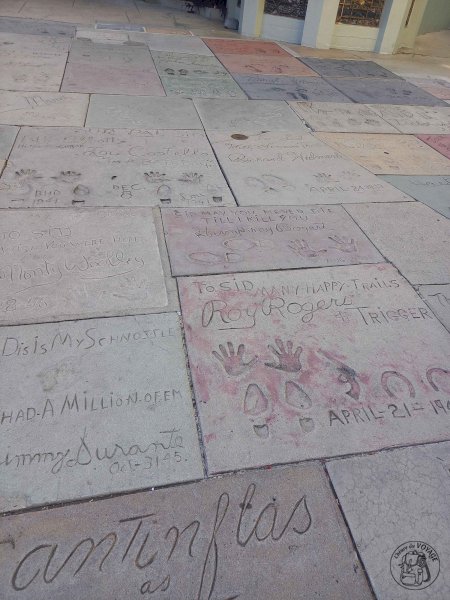 Hollywood Boulevard