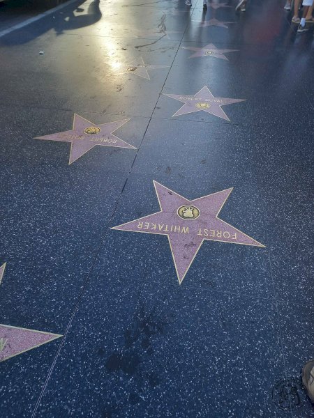 Hollywood Boulevard