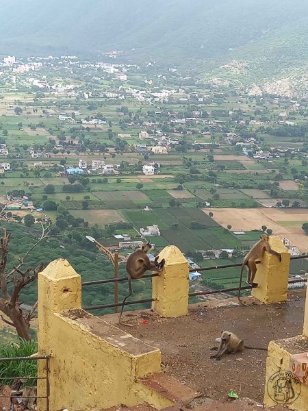 Savitri Temple