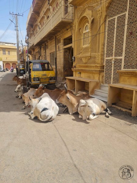 Jaisalmer, la cité d'or