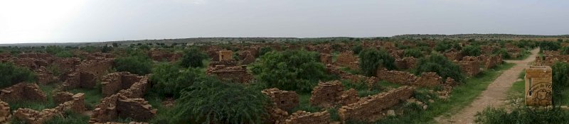 Nuit dans le désert du Thar - J1