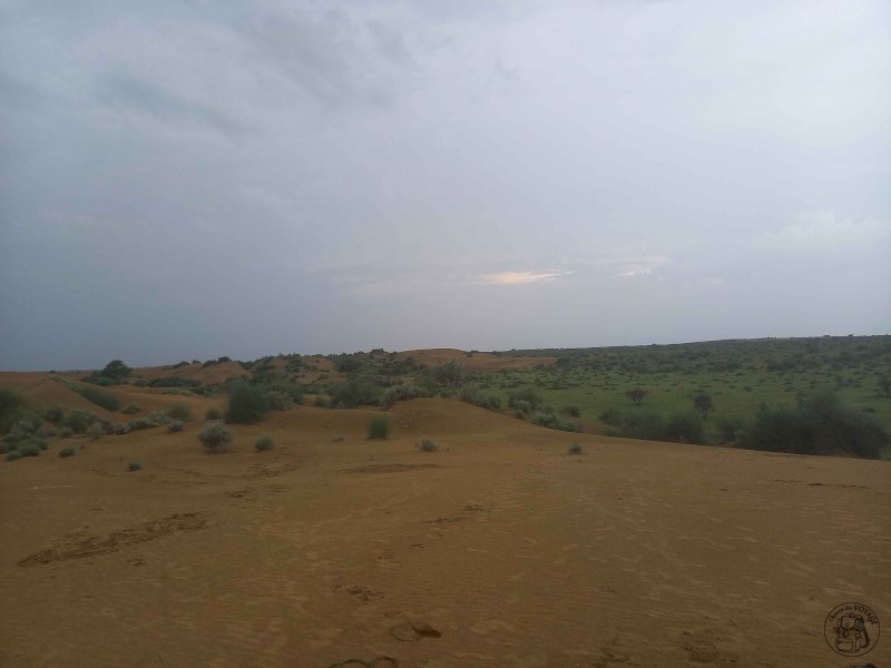 Nuit dans le désert du Thar - J1