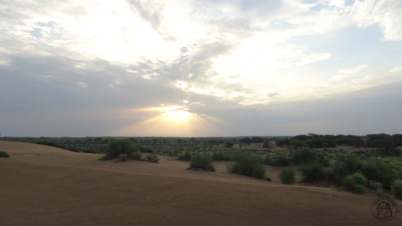 Nuit dans le désert du Thar - J2