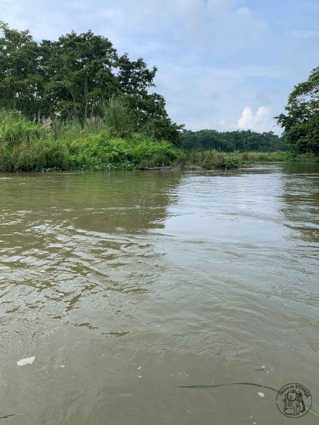 Chitwan National Park - Canoë