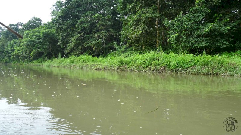 Chitwan National Park - Canoë